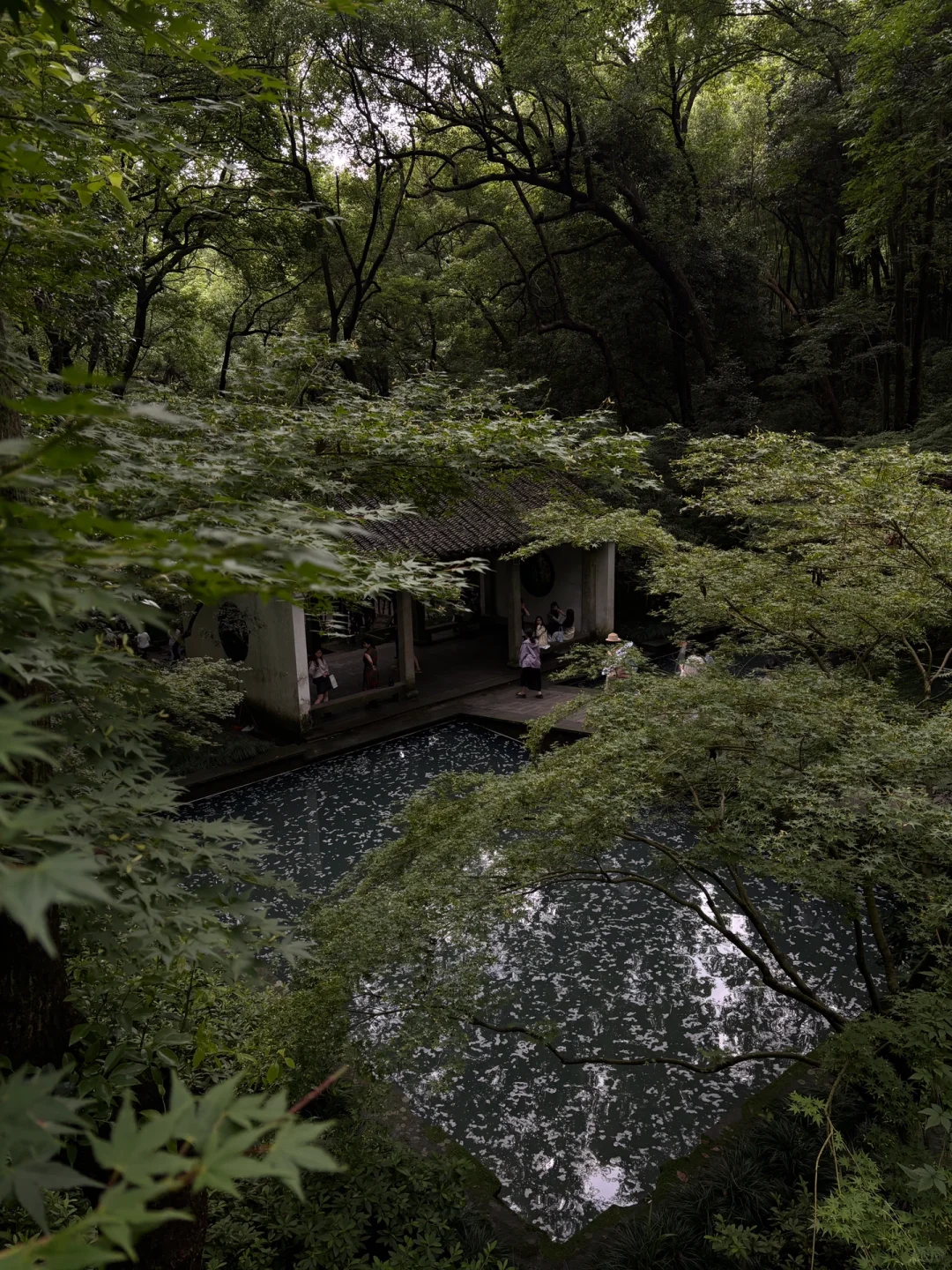 杭州美妆公司合集🌟岗位多、年轻女生友好👍