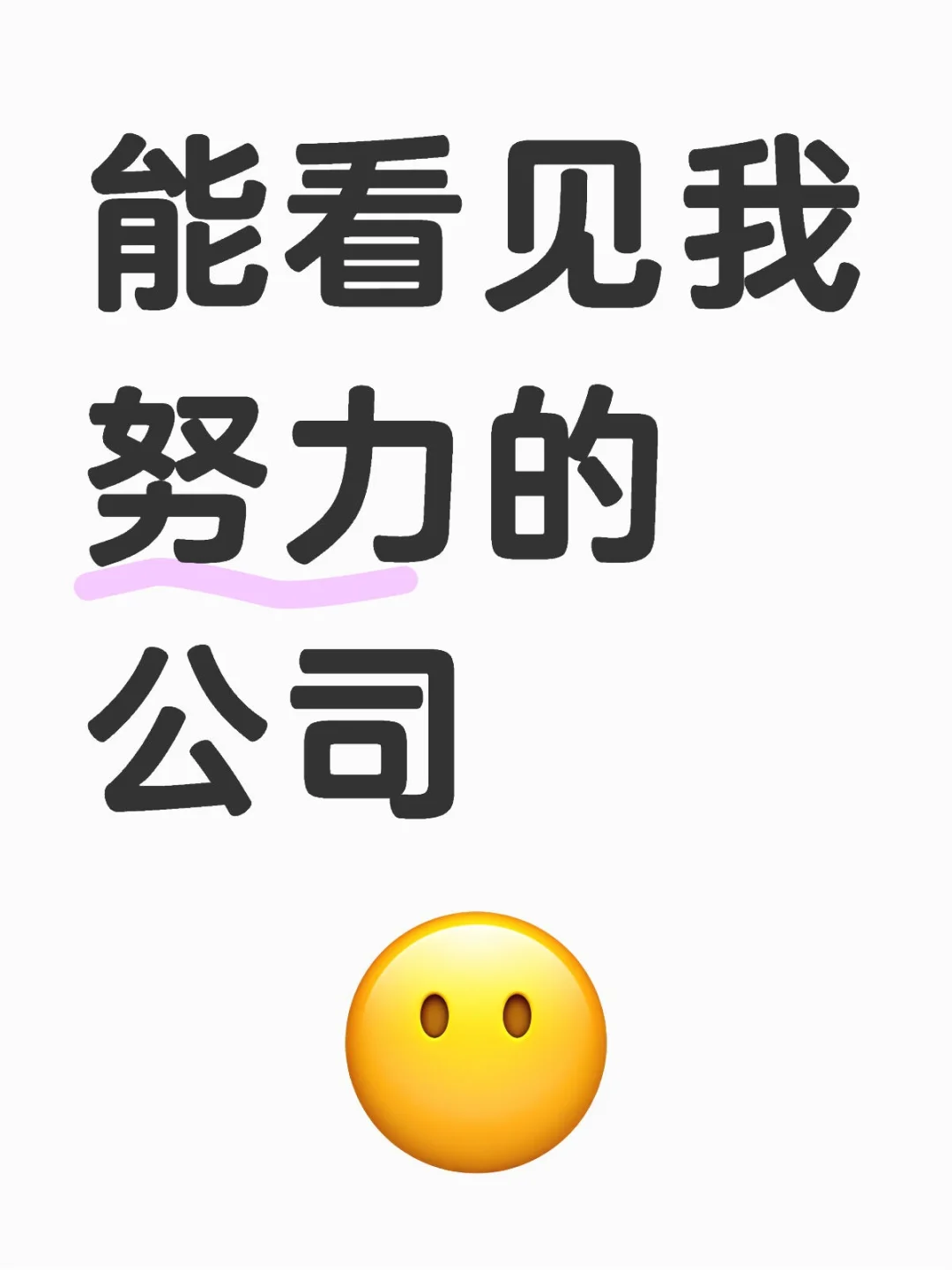 能看见我努力的公司
