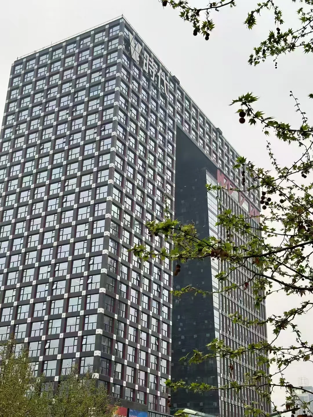 💼会计人的办公环境大揭秘 | 数字背后的