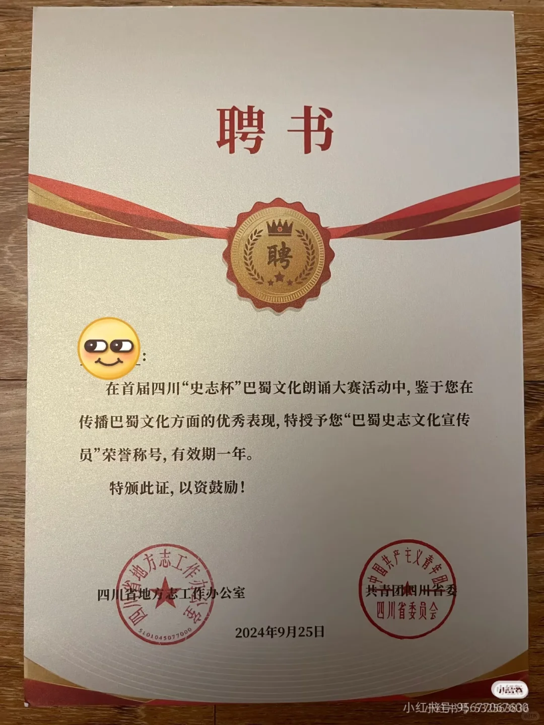 四川招募文化美育专委会副主任