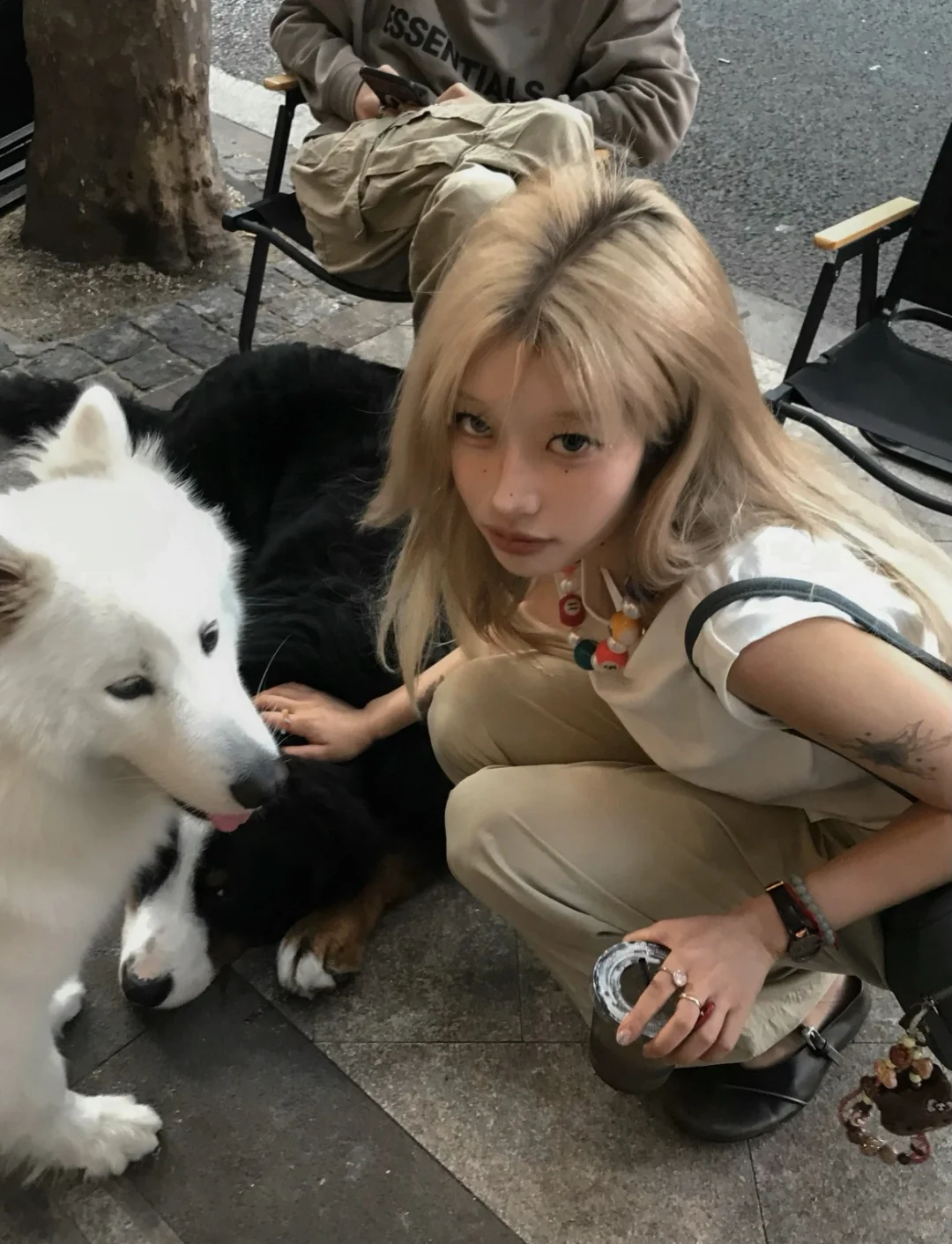 mcn机构公司高薪聘请啦~