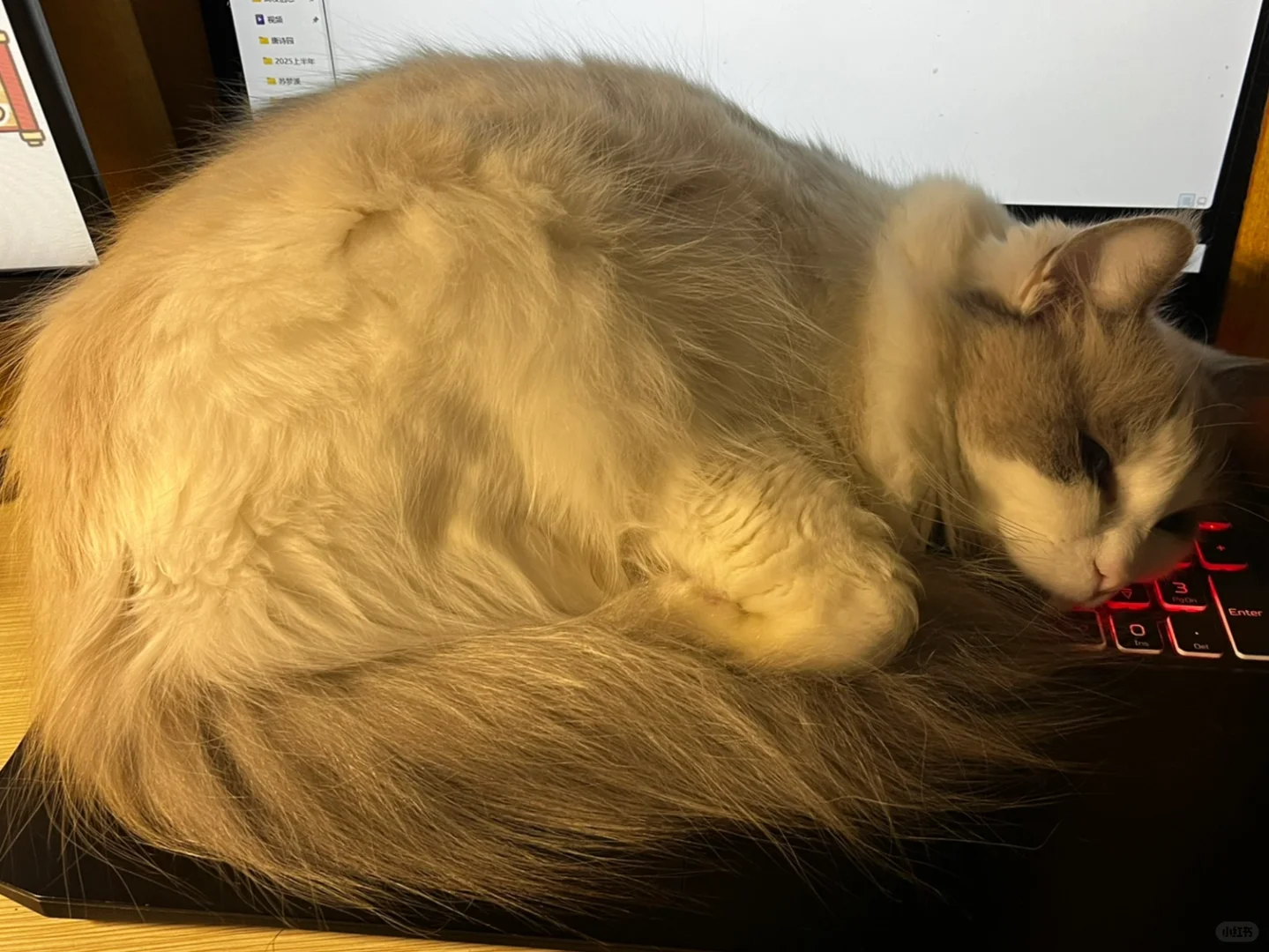 5.16硕士🉑️投递的35所山东高校名单汇总