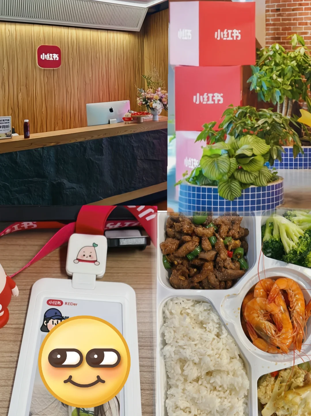 小红书公司大量招暑期大学生。可内推