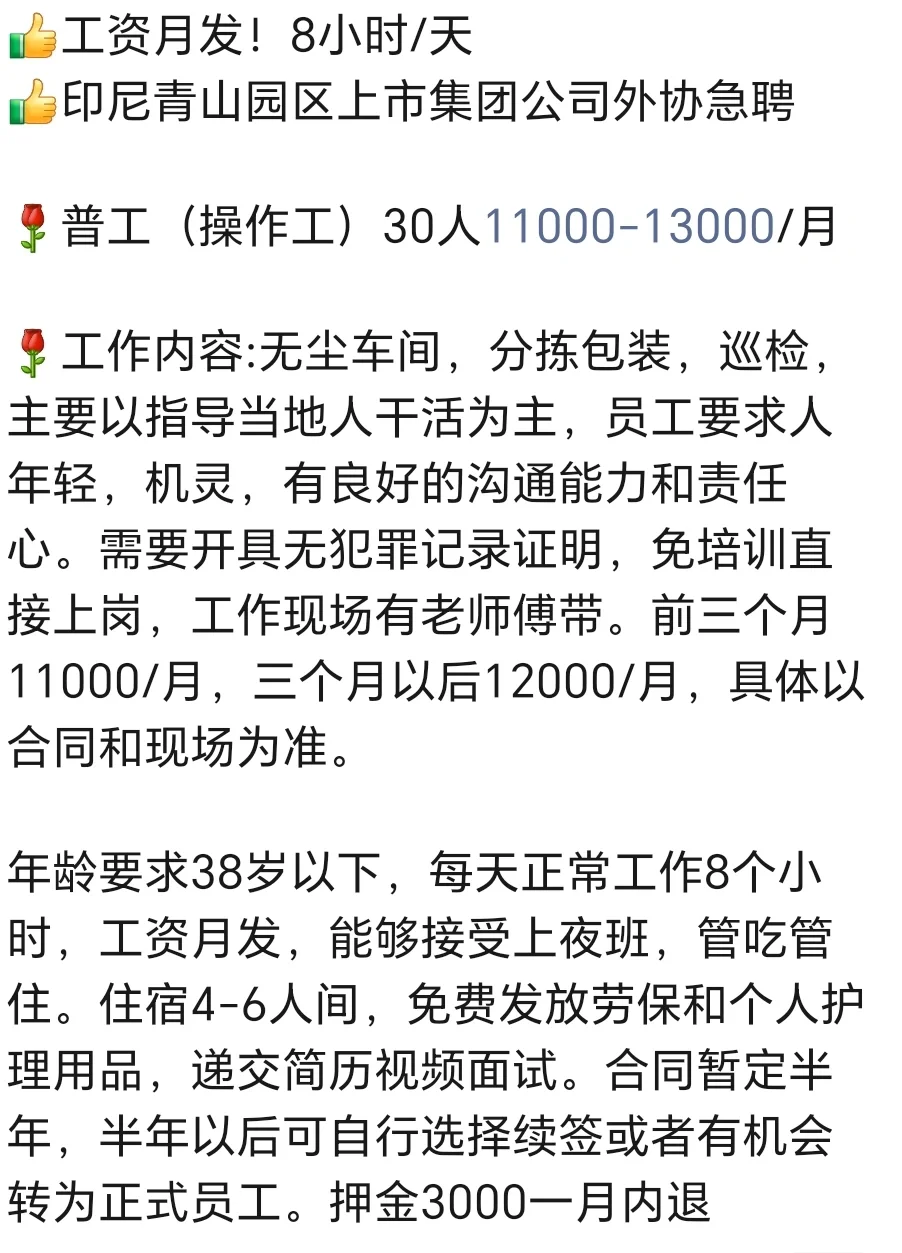 印尼青山园区上市公司