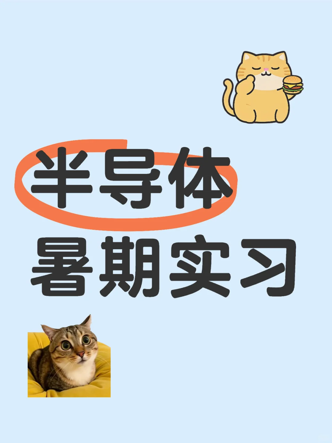 半导体行业暑期实习，这些公司别错过！