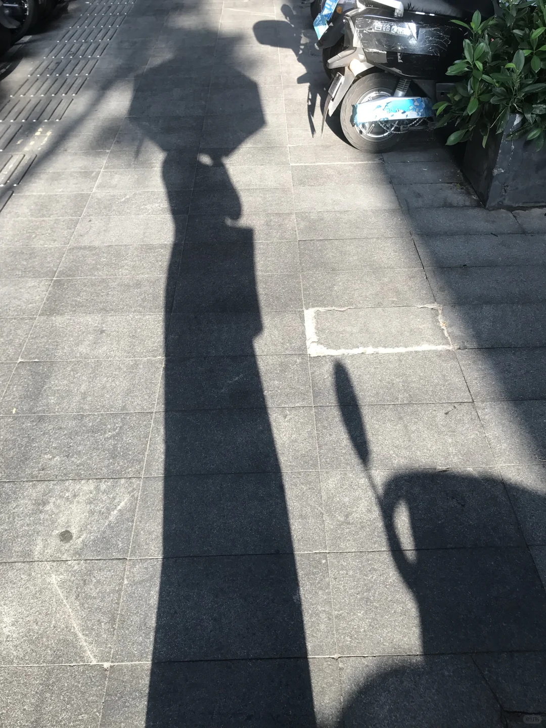 找了一个半月的工作我悟了