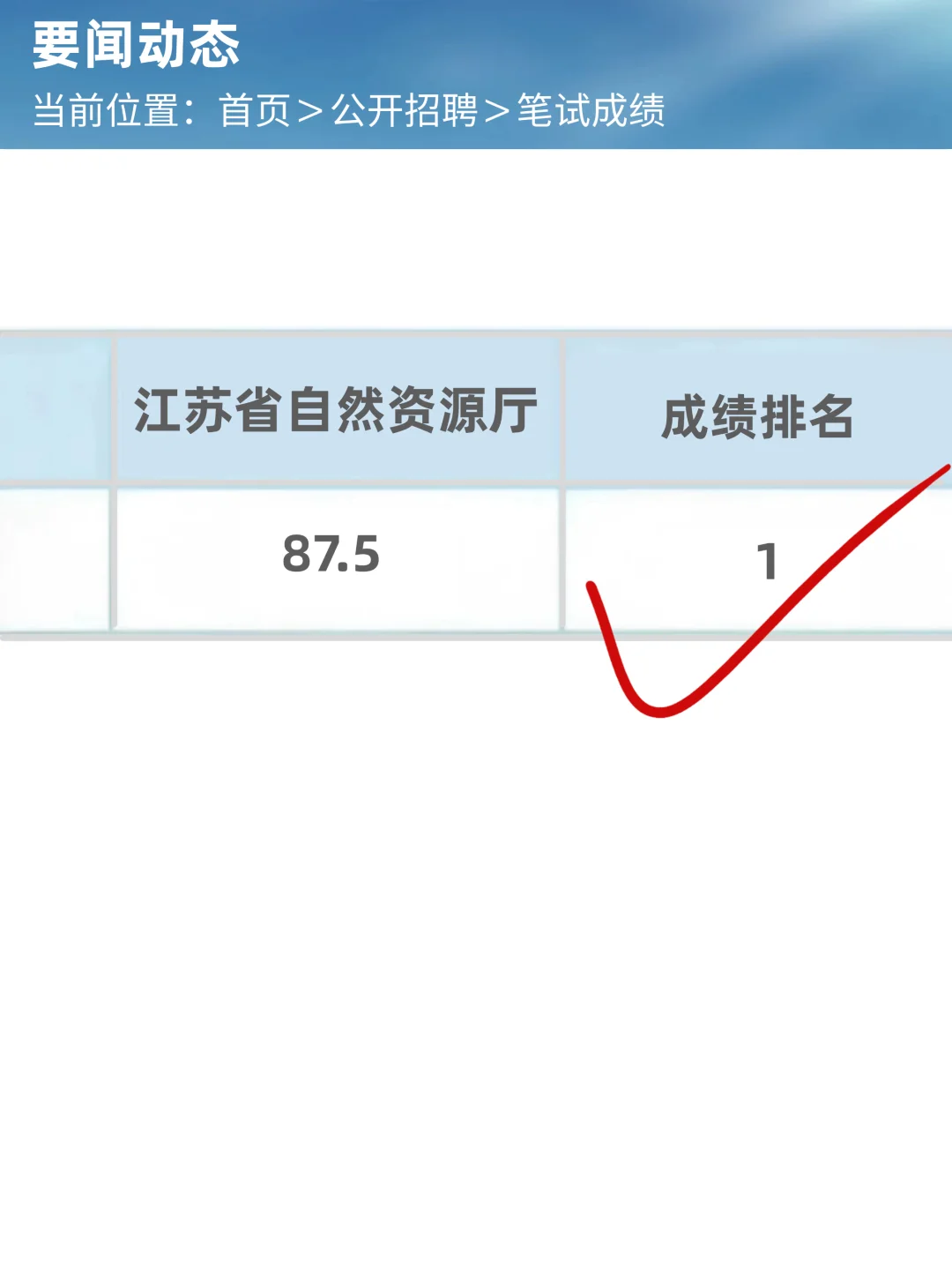 方法有点恶心，但1周进面了江苏省自然资源厅