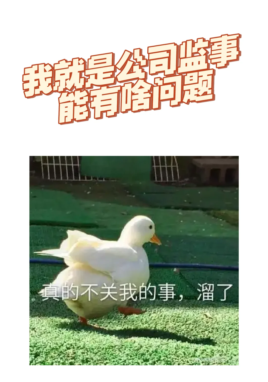 我就是公司监事能有啥问题