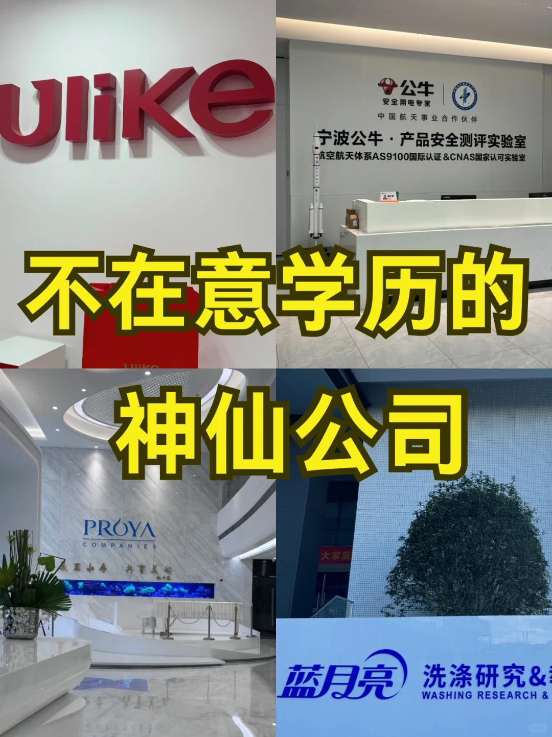 在杭州学历不高也可放心投的神仙公司‼️