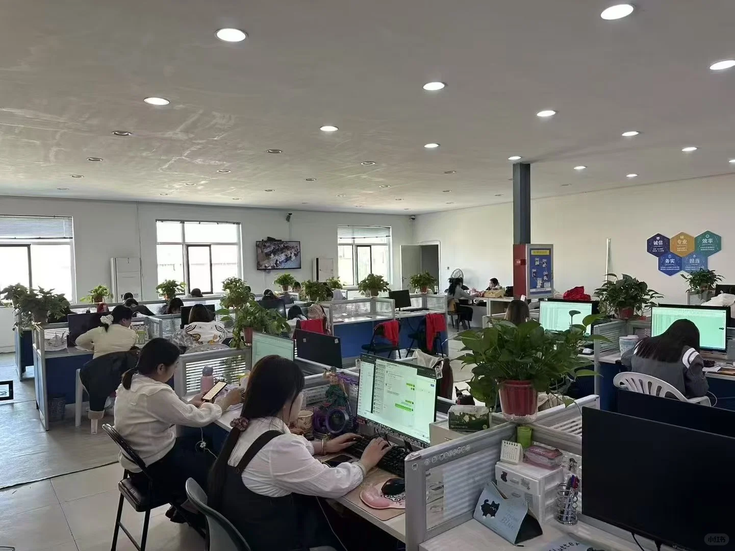 专业客服外包团队