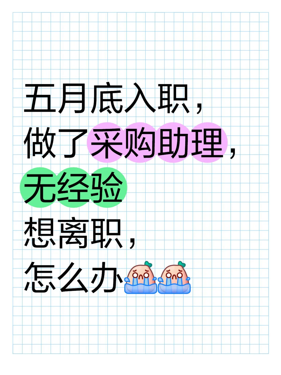 做得采购助理、感觉学不到什么东西