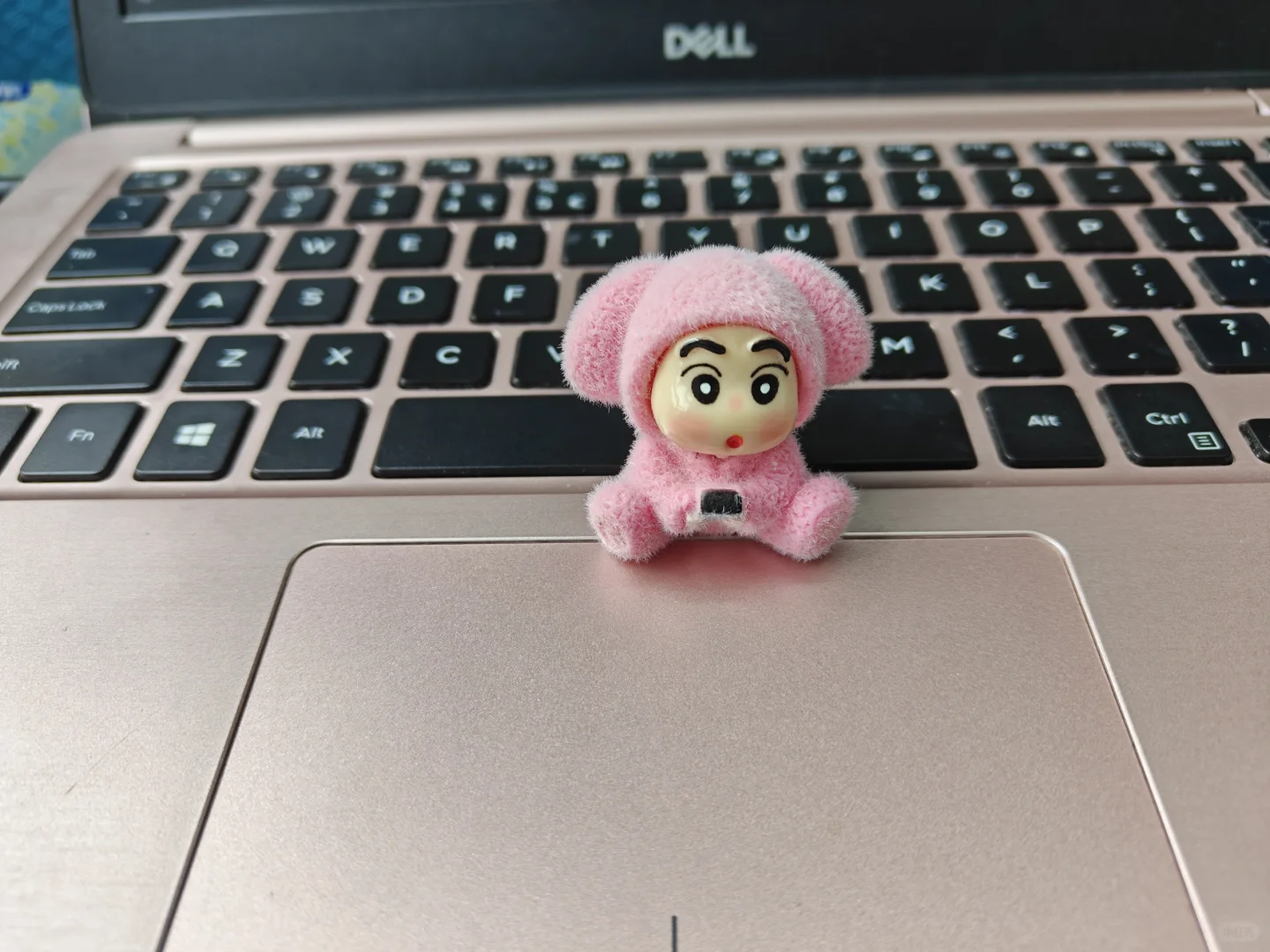 找工作好难啊！！！！