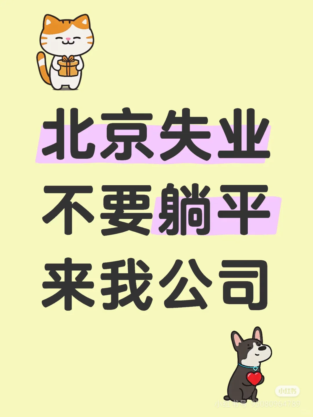 高薪职业（小白可上手）带薪培训