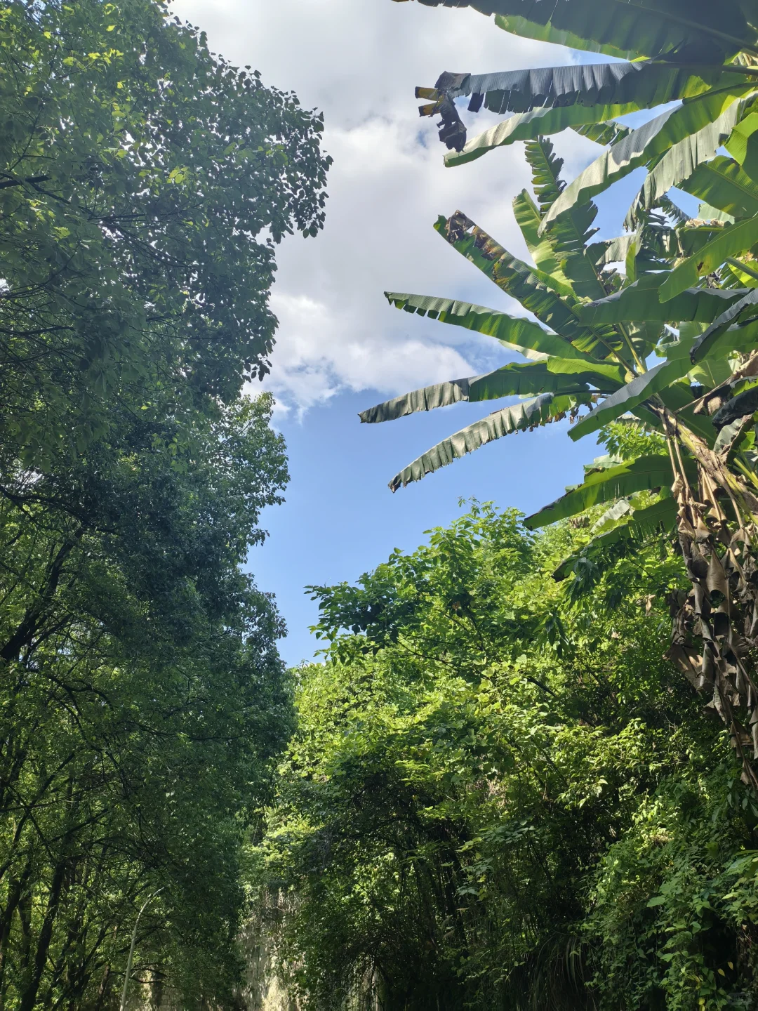 重庆工商大学 Perfect 你们觉得呢