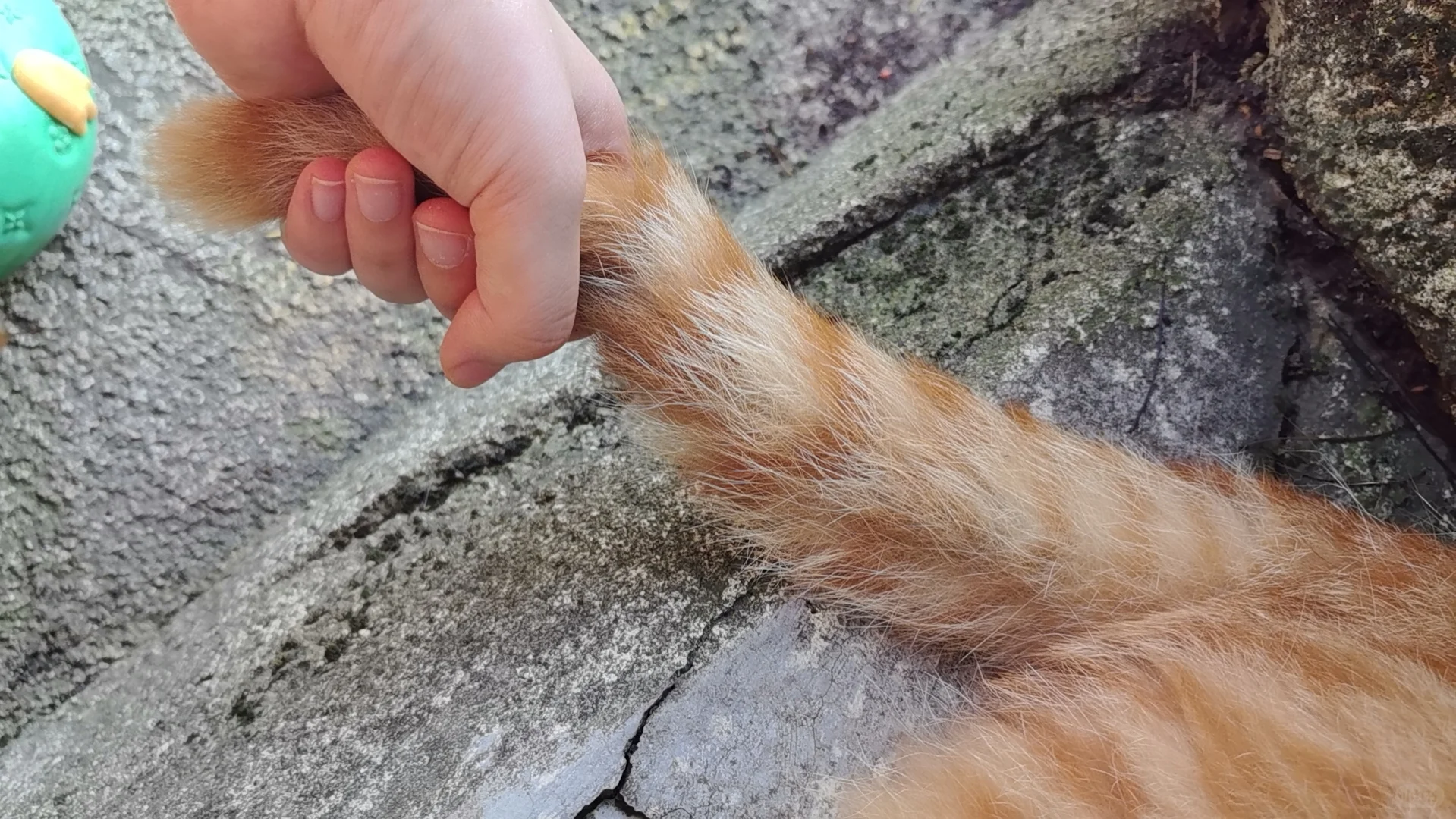 重庆工商大学 Perfect 你们觉得呢