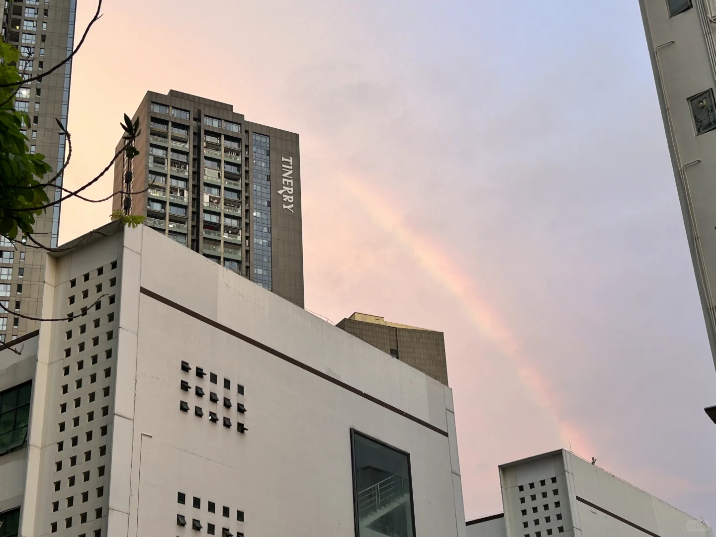 哈工深计算机学院张正教授招收硕博研究生