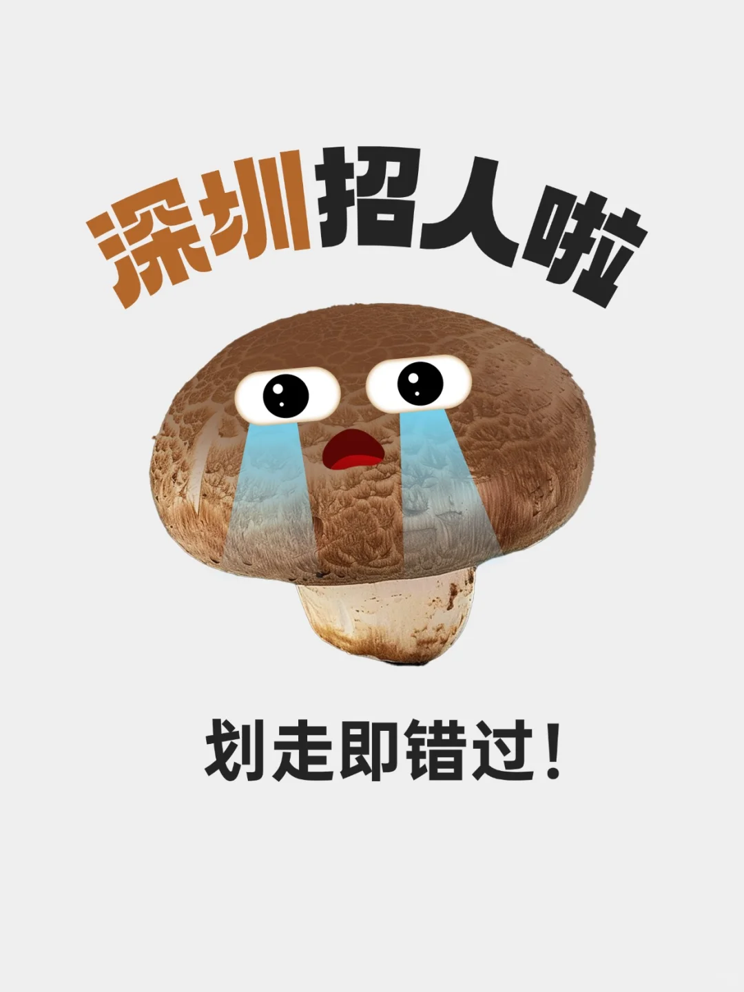 深圳招聘 | 蓝瘦！和我一起当上下班搭子！