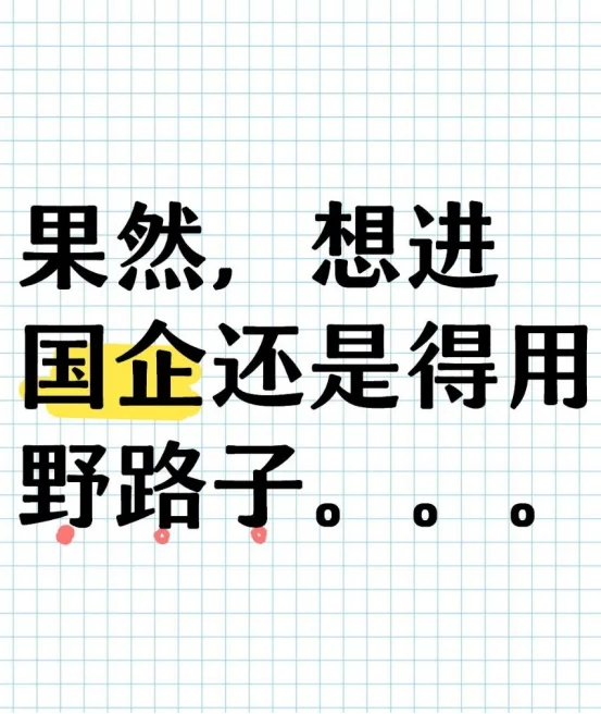 果然，想进国企还是得用野路子。。。