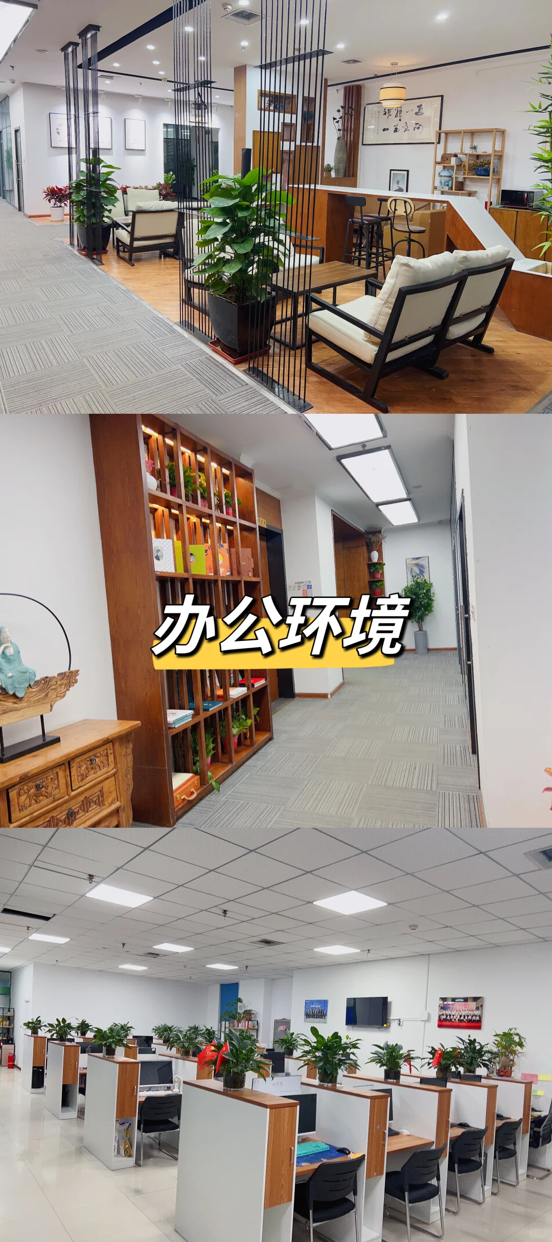 坐标郑州📍听说在这里发招聘比较快！