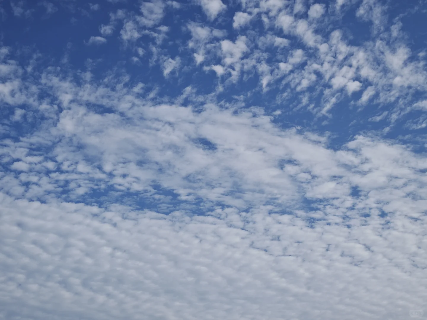 招聘员工了欢迎大家咨询