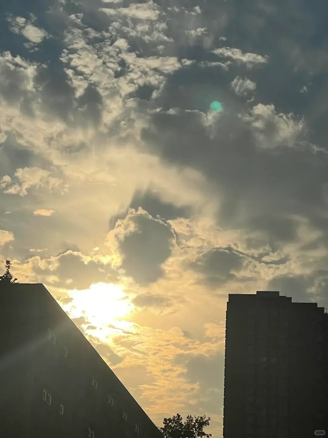 郑州轻工业|我宣布是我心中最美的大学