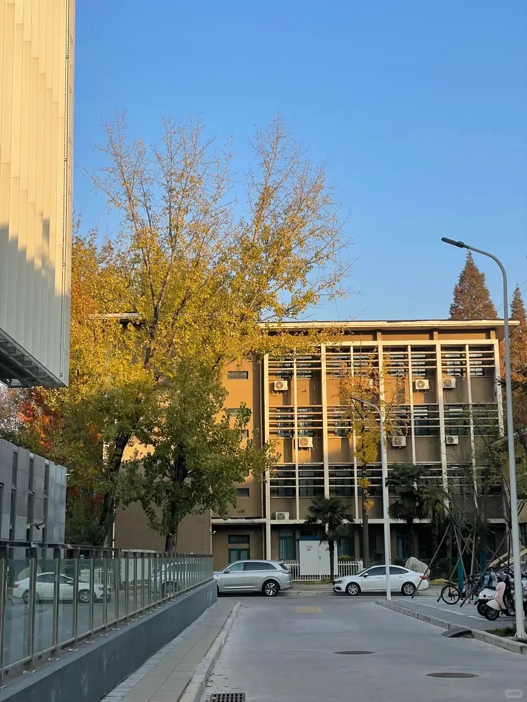 郑州轻工业|我宣布是我心中最美的大学