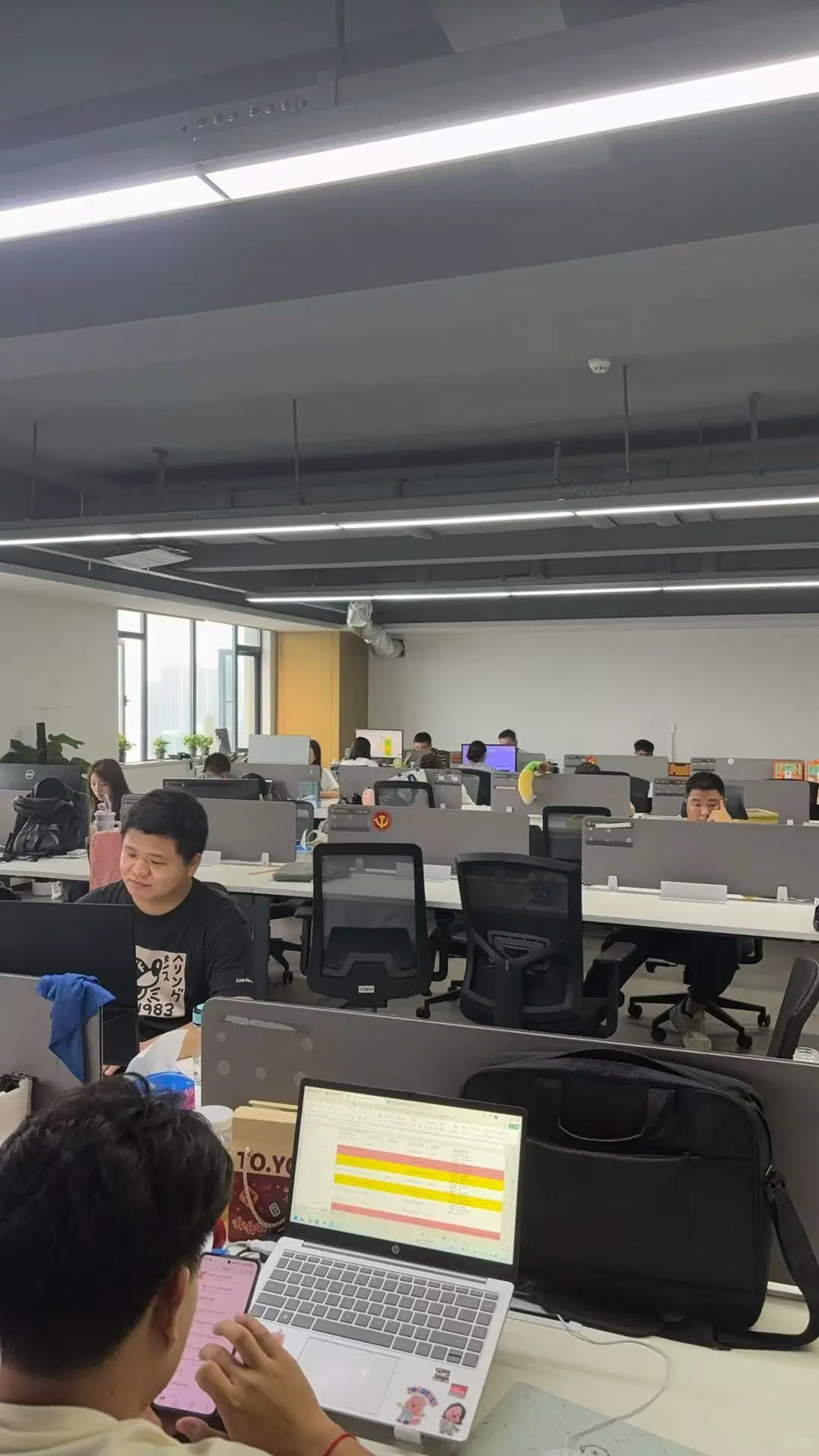 武汉汉阳区初创公司多岗位招聘