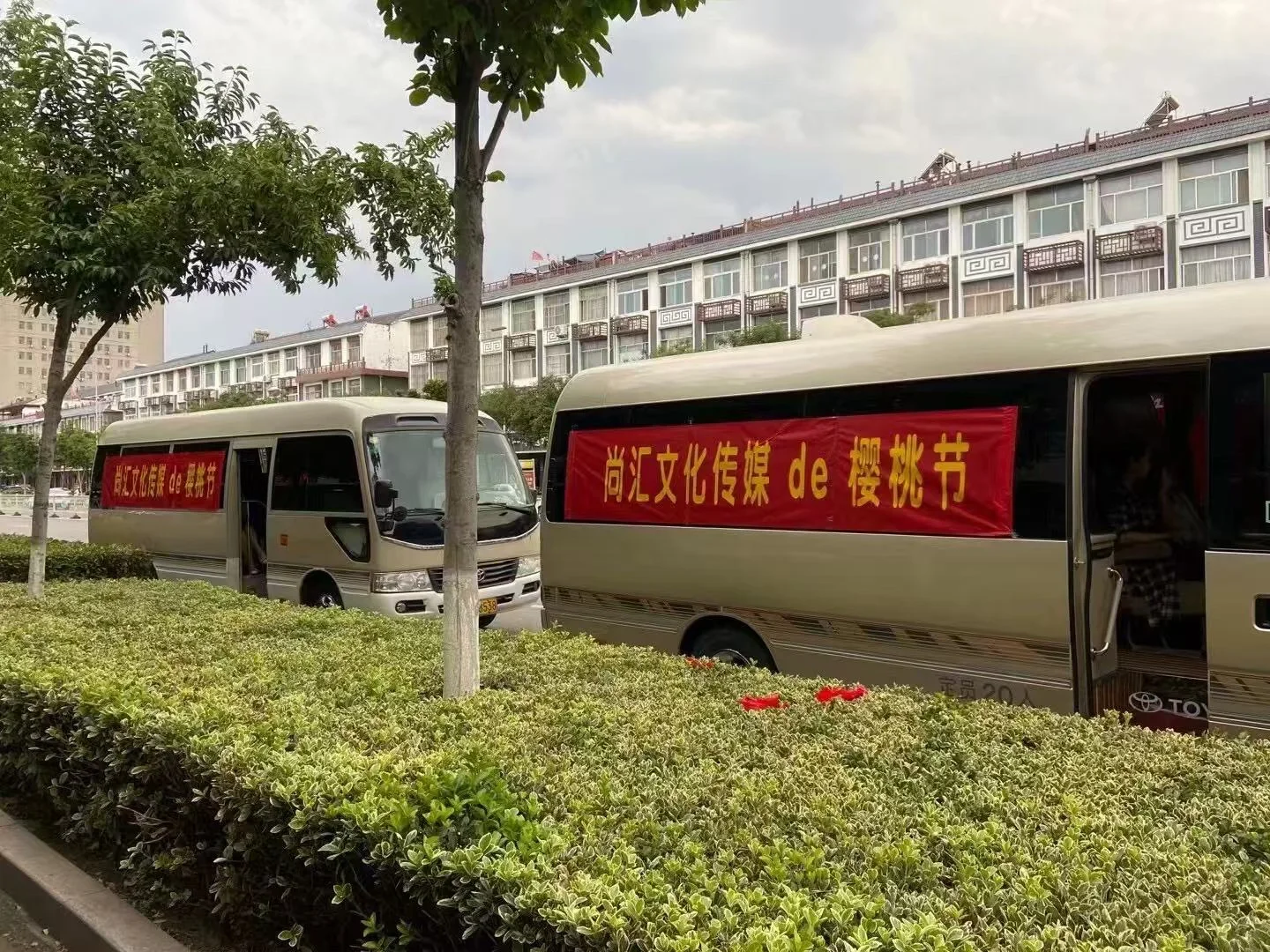 绝世好公司 谁想来