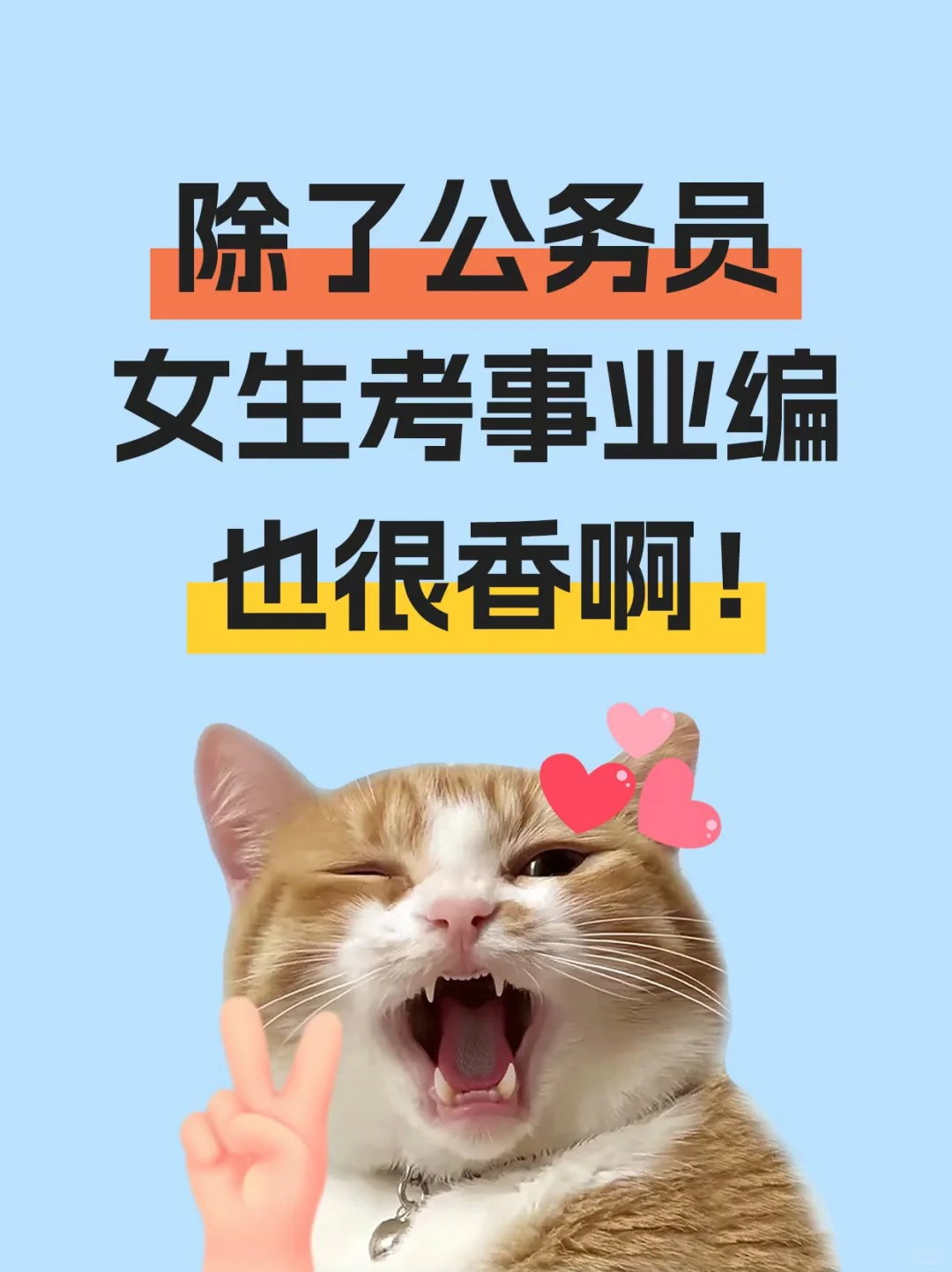 说真的，女生考事业编真的很香！