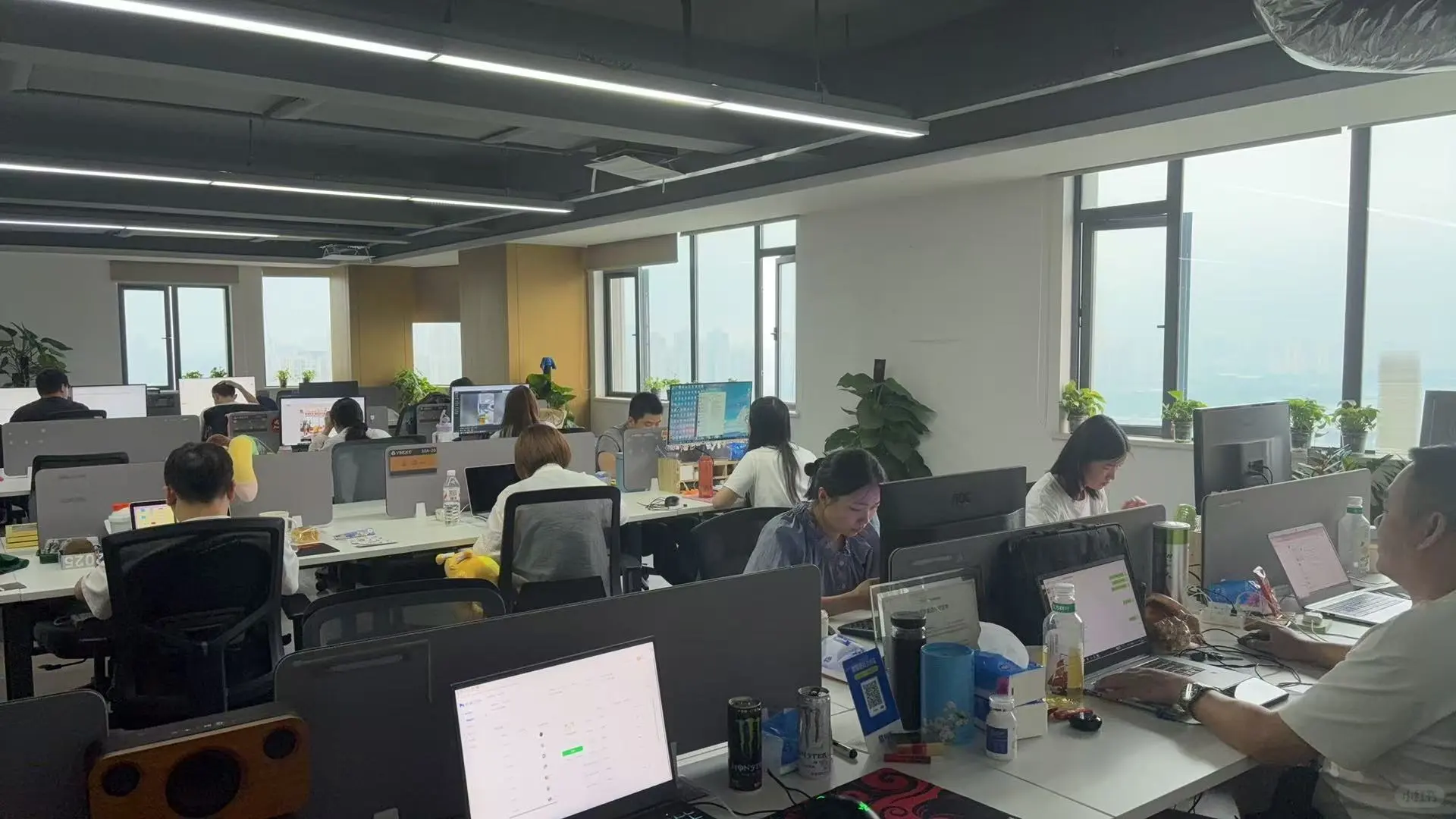 武汉汉阳区初创公司多岗位招聘