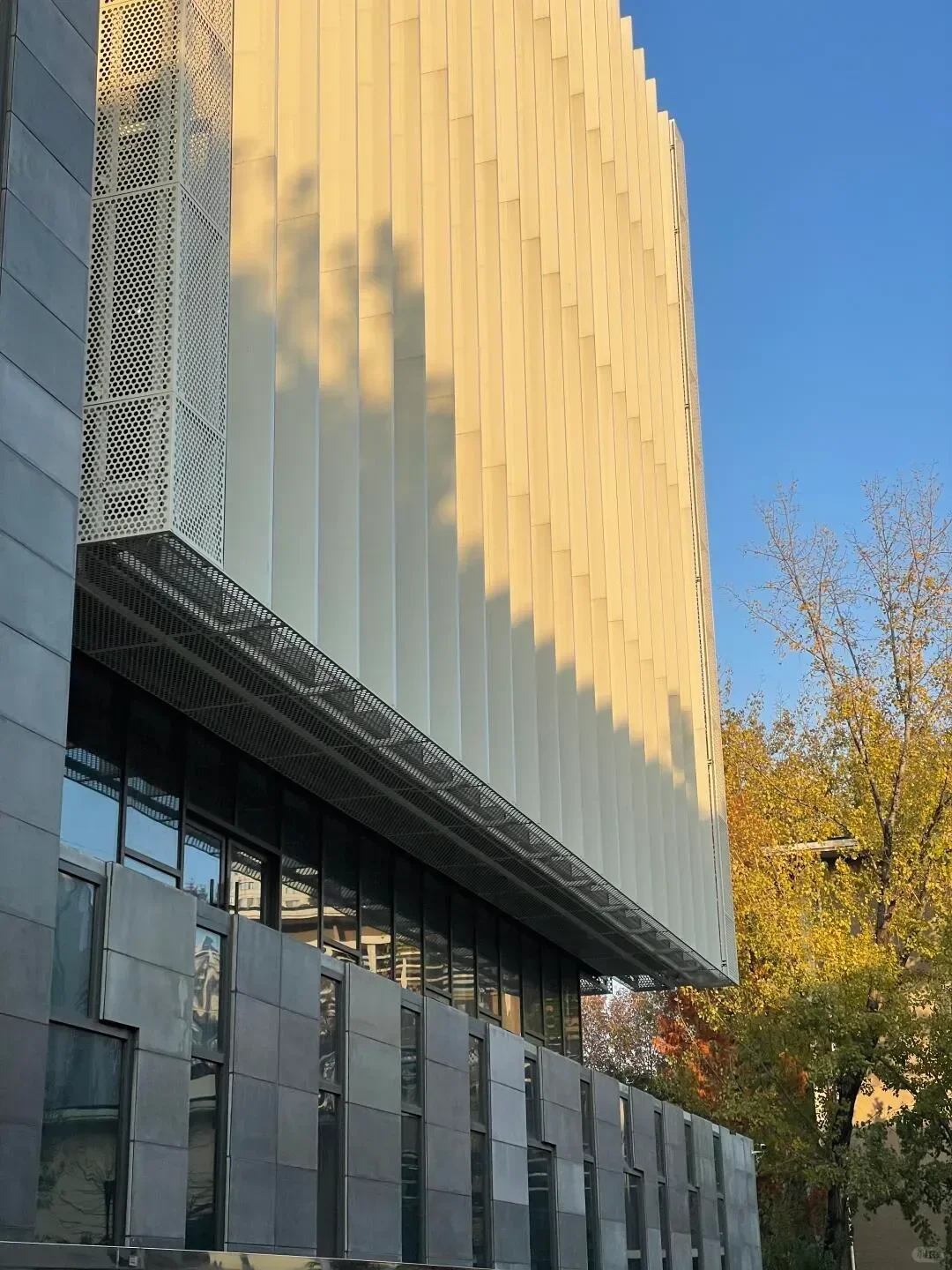 郑州轻工业|我宣布是我心中最美的大学