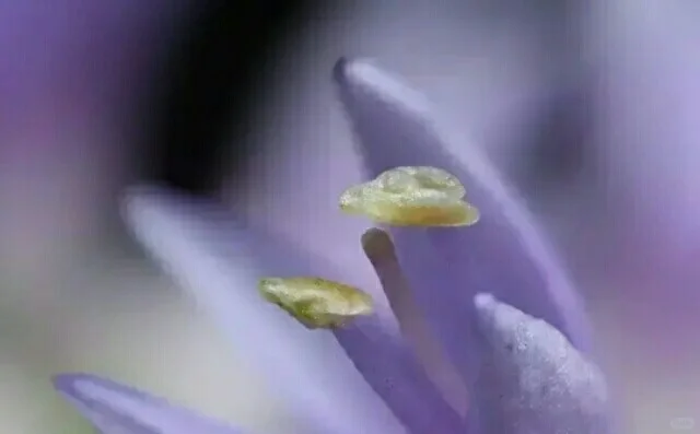 就要交流轮岗了!老师们,你们准备好了吗?