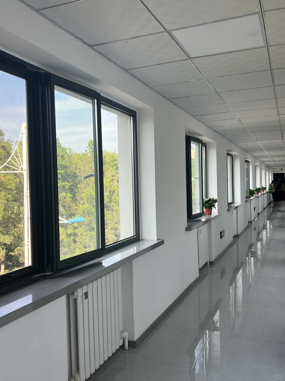 招人啦 招人啦！！