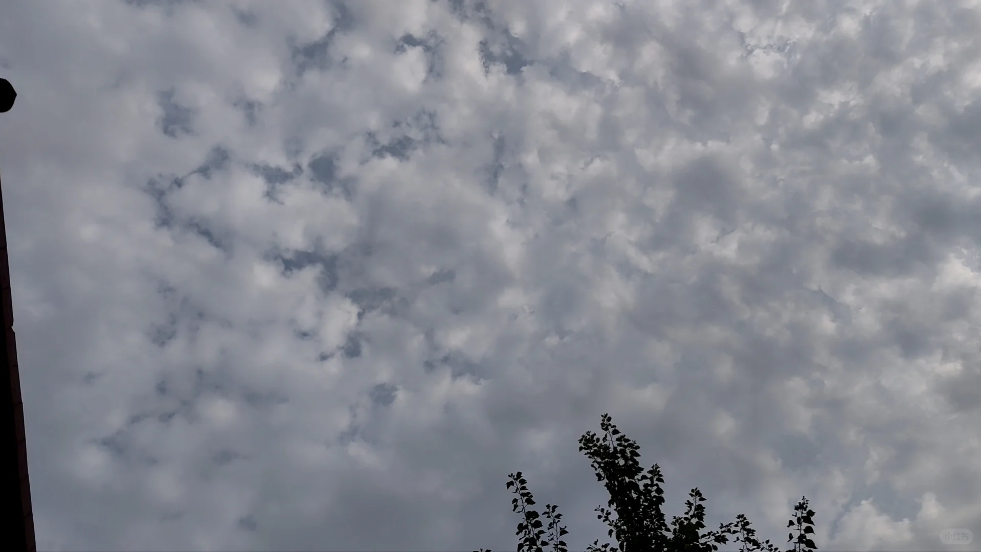 石家庄招聘在继续。。。