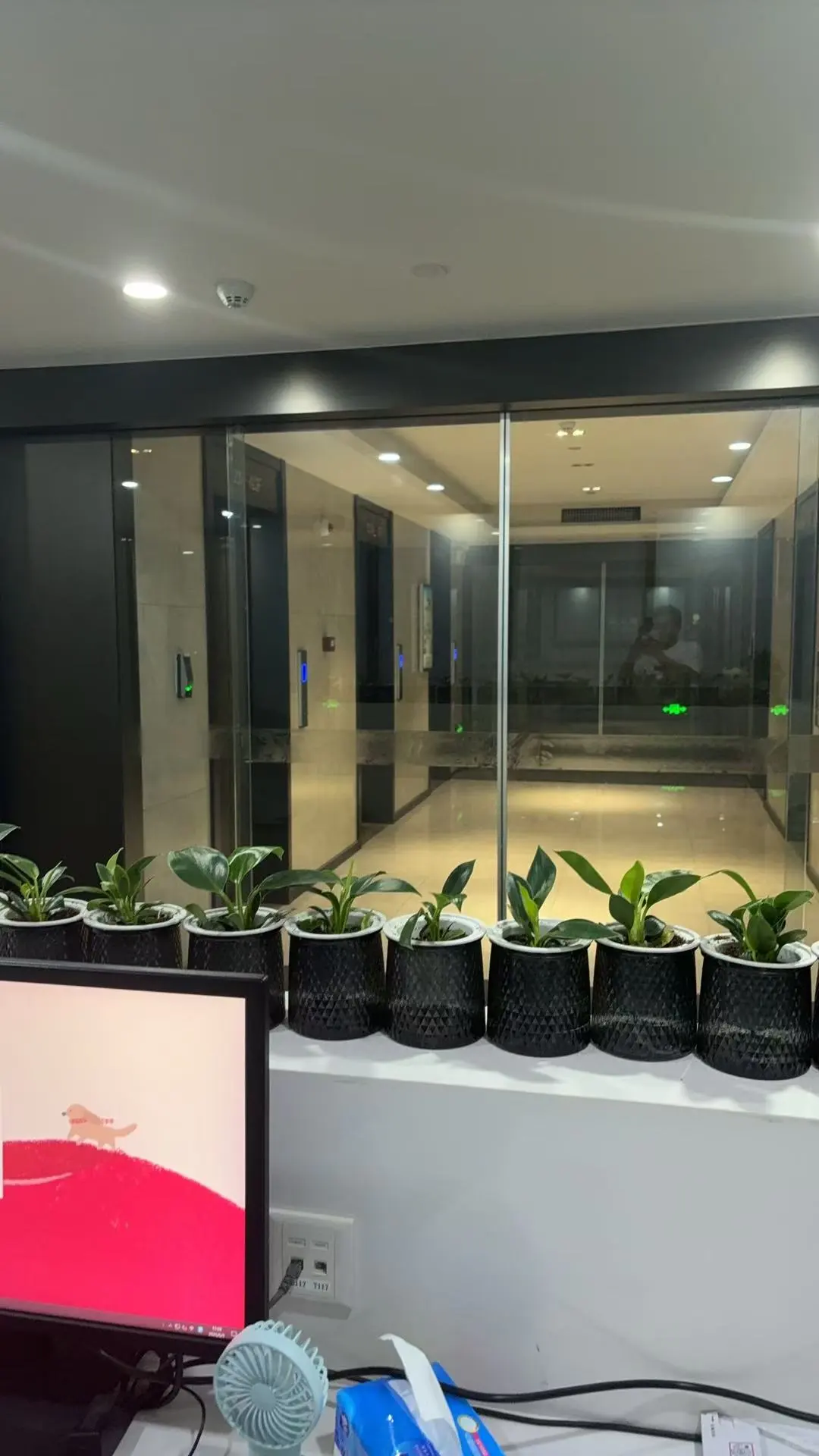 武汉汉阳区初创公司多岗位招聘