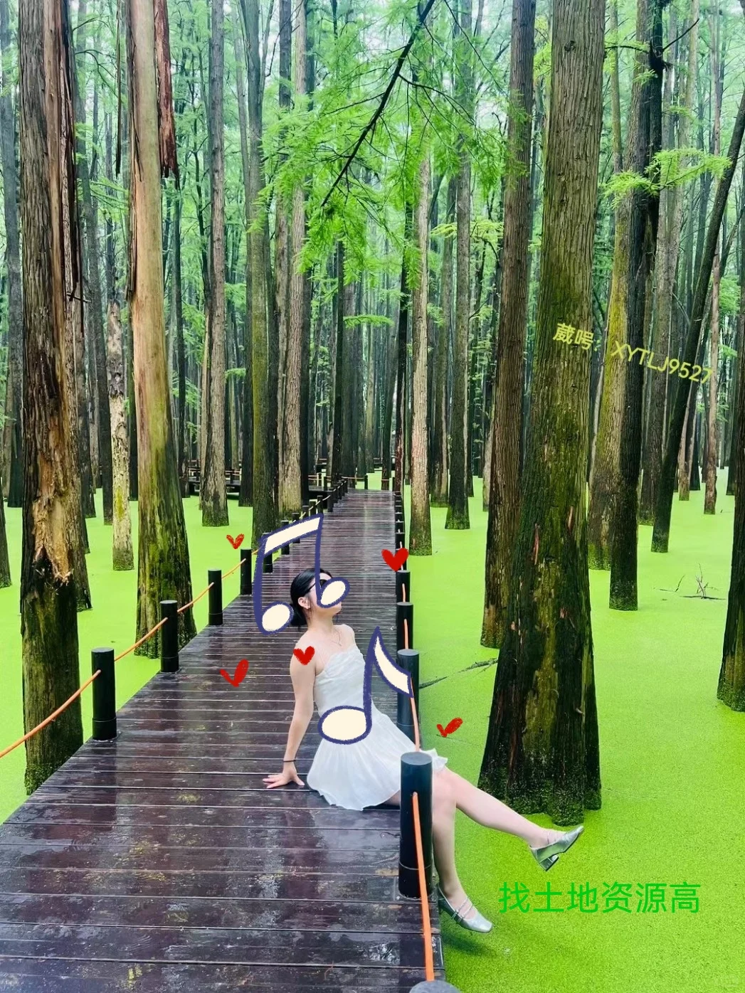 昭聘👉土地资源相关高工