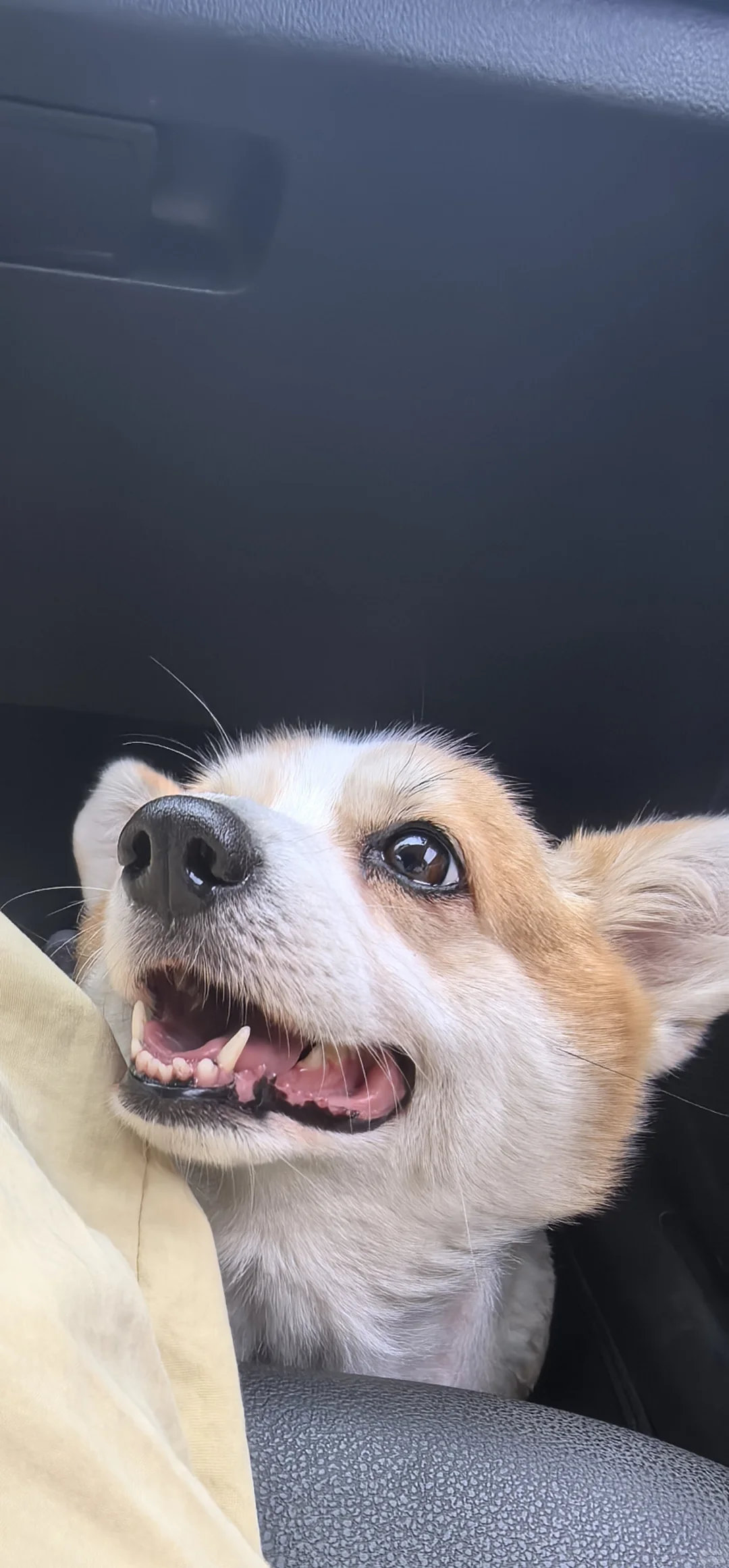 赣A法院省聘书记员