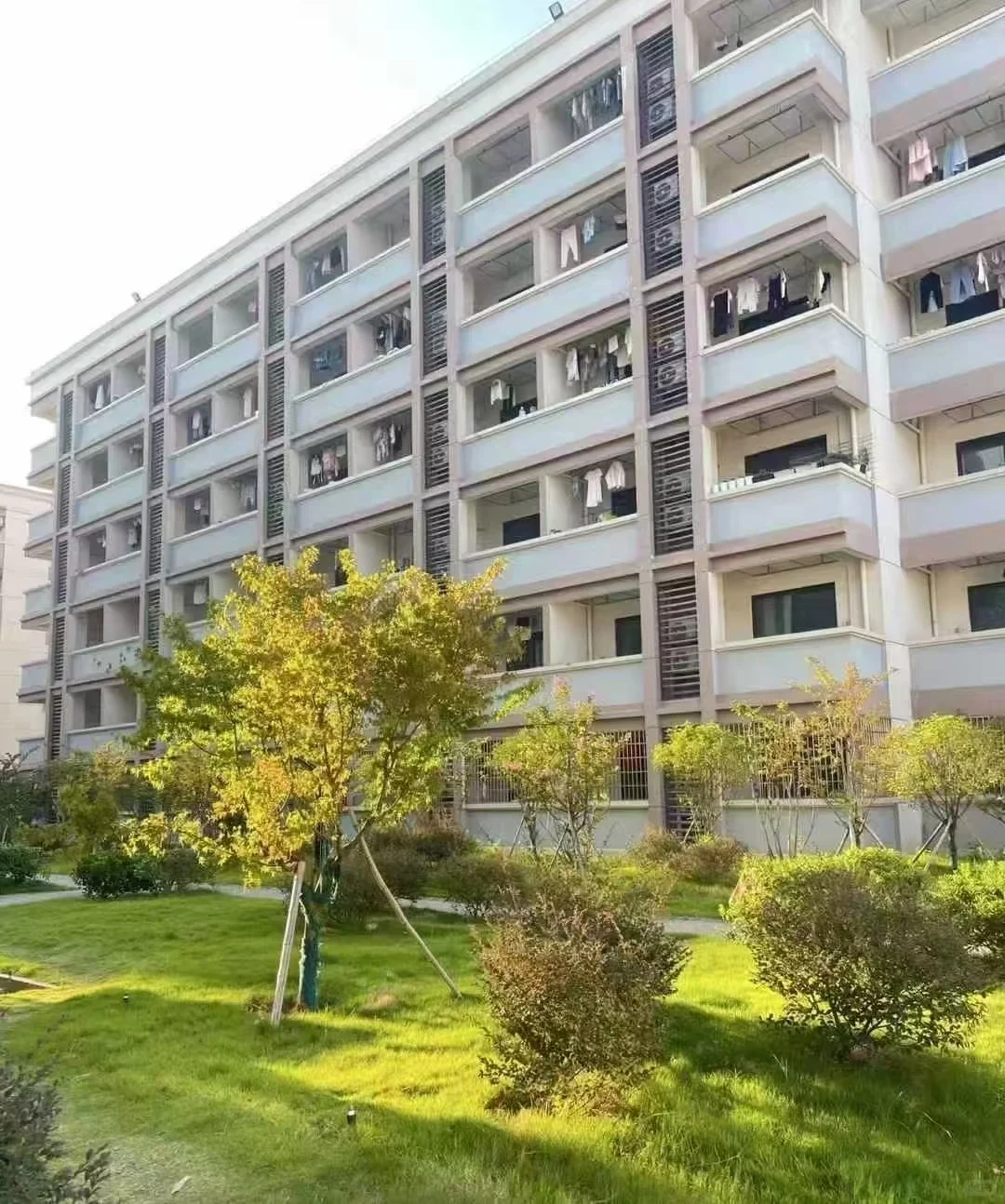 工厂要人要人！