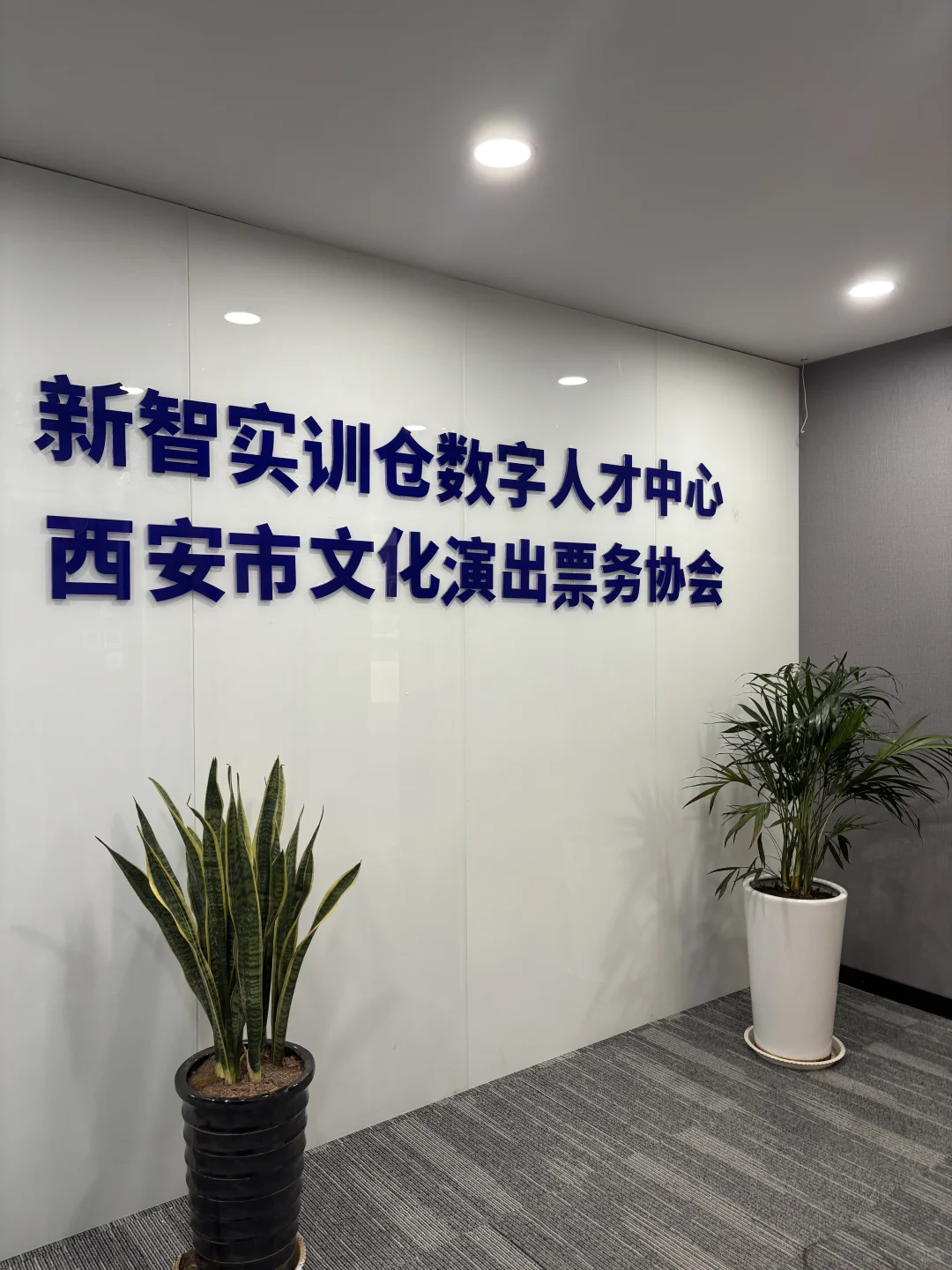 省体育场招聘啦