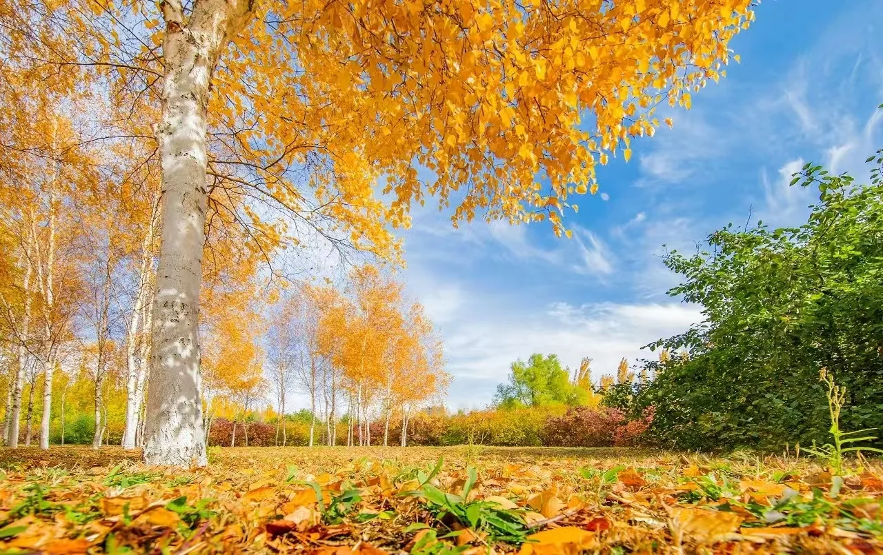 一起来看看不一样的东北石油大学