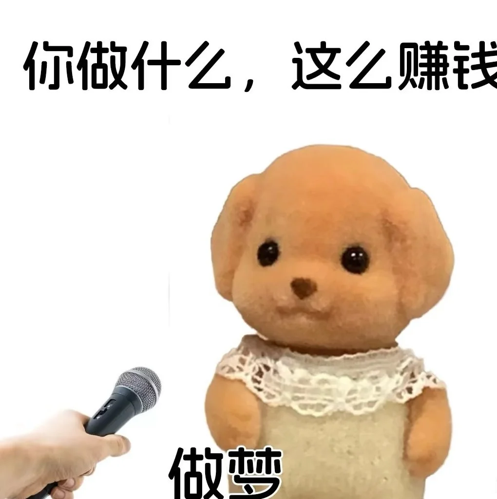 2025春关于我面向社会公开招聘男朋友的公告