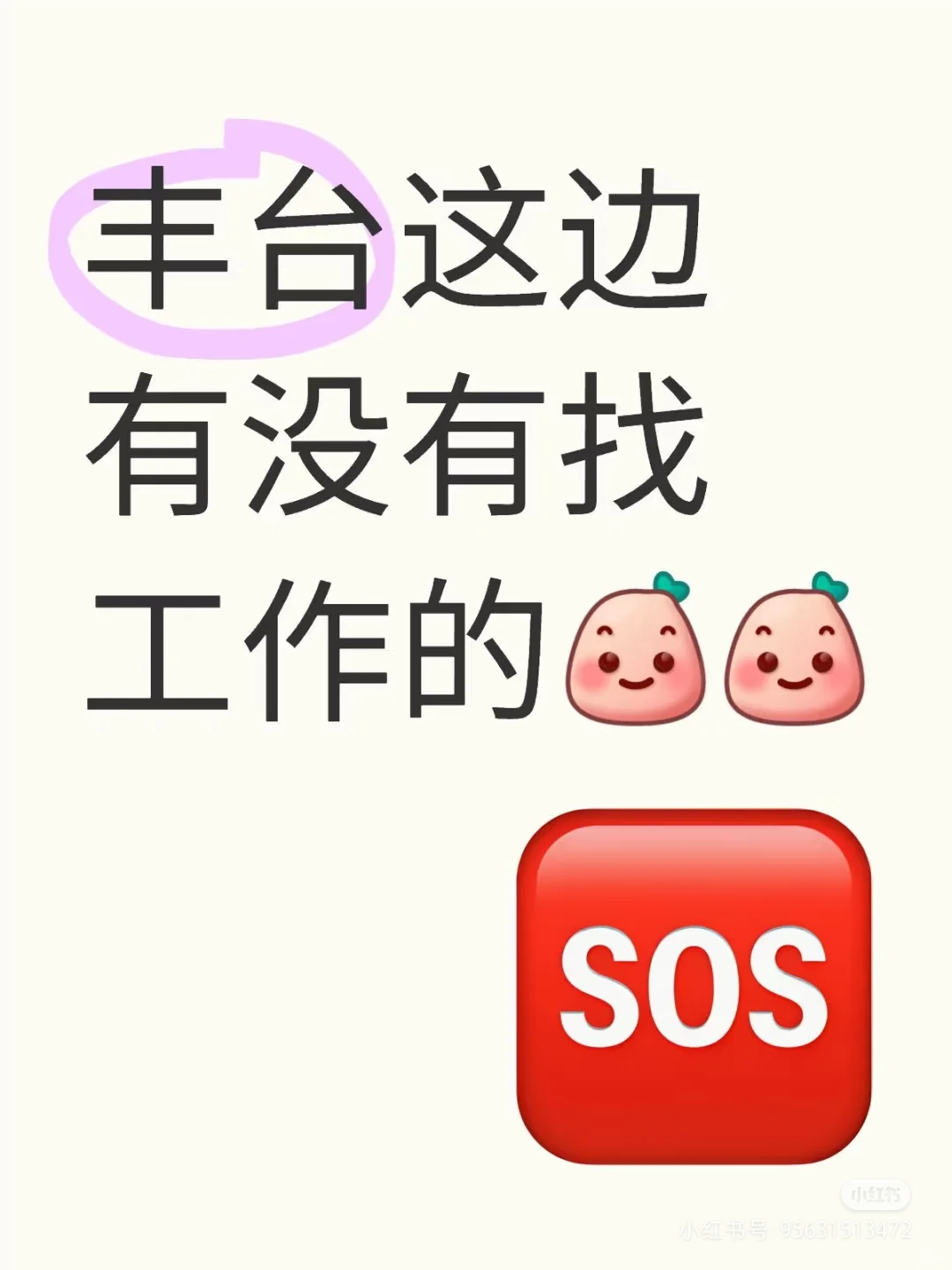 上市公司驻京办直招文员