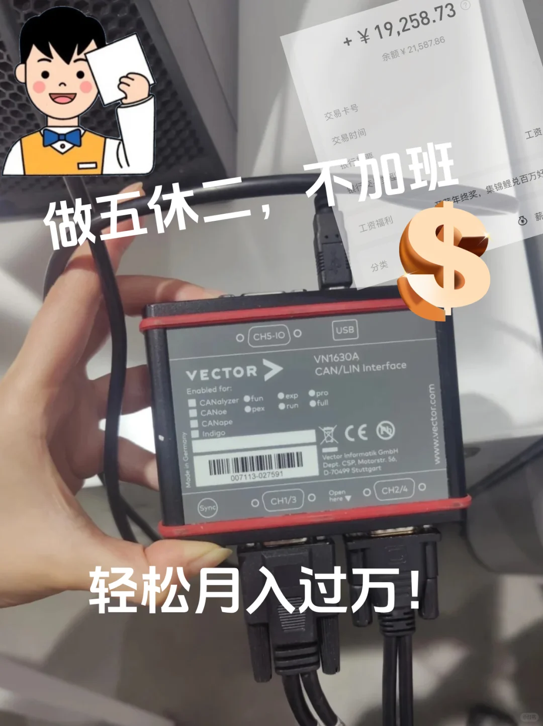 上岸成功！