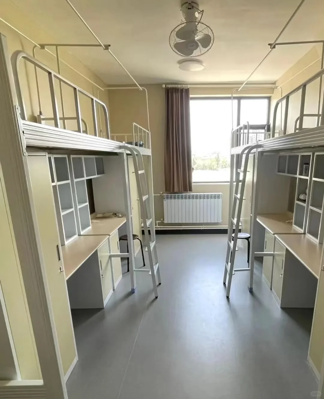 小米开招 ！！！！