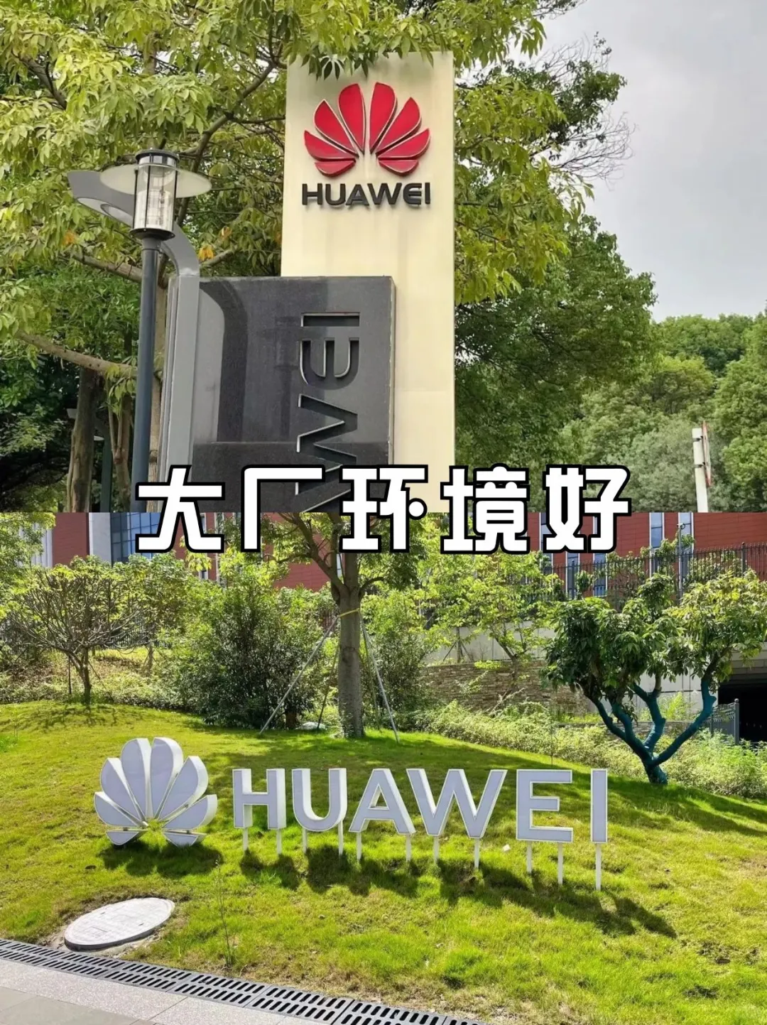 大专毕业别慌！华为招人！
