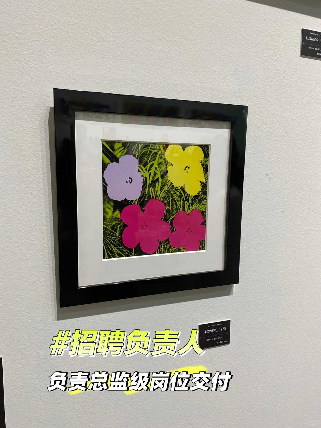 招一个招聘负责人，负责总监级岗位交付