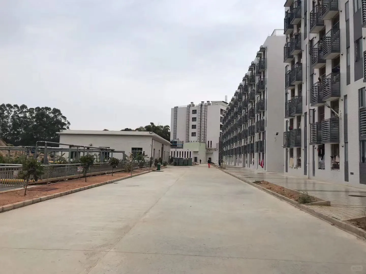 💸伯恩21元/h最后2天！晚1天亏60