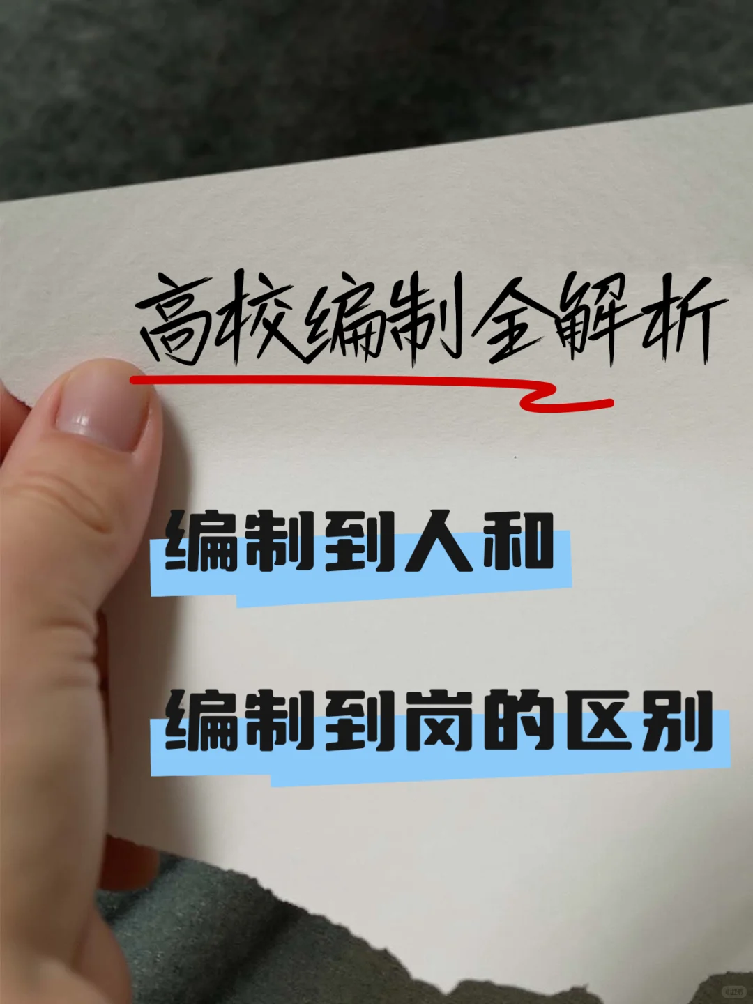 高校编制蕞全解析:教师们的福利与挑战❗