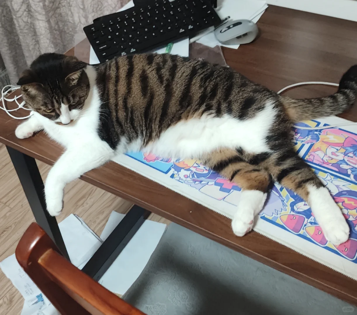 高考后如果能上985,如何布局考公