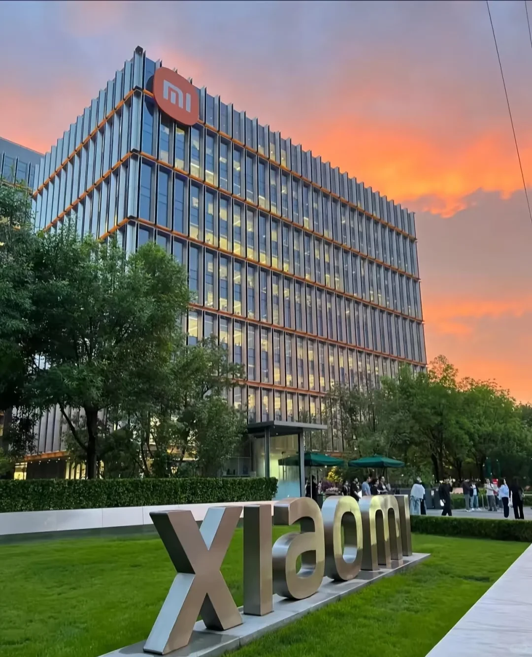 小米开招 ！！！！